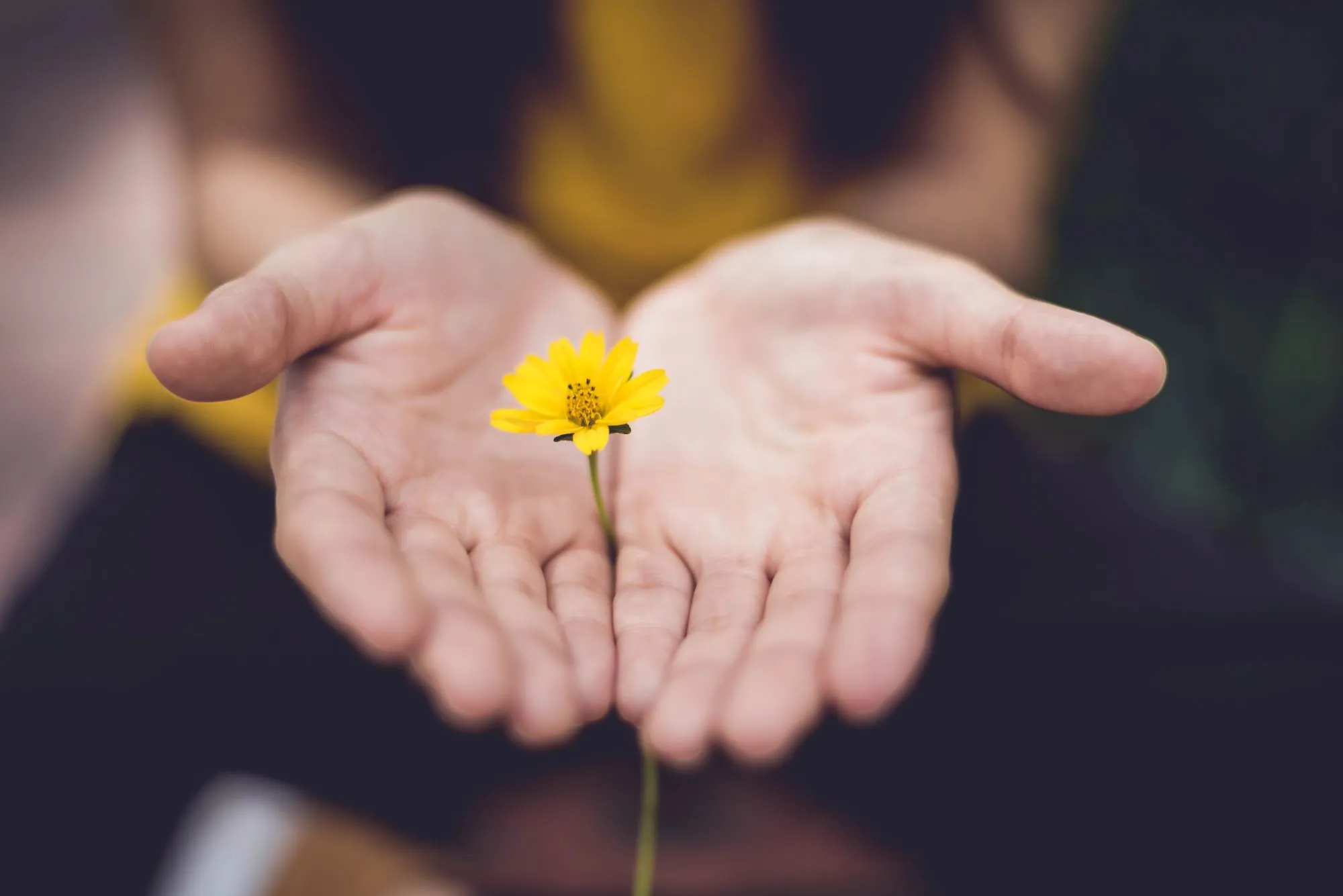 Remote reiki session
